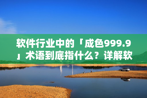 软件行业中的「成色999.9」术语到底指什么？详解软件版面的新标准