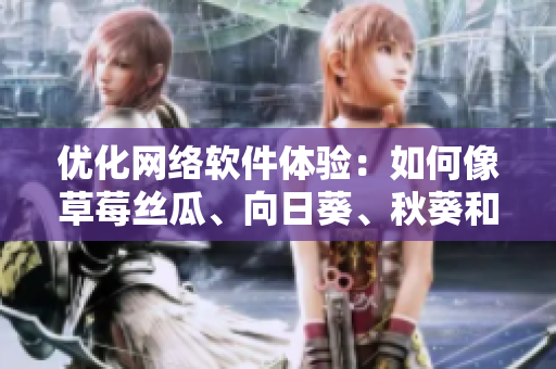 优化网络软件体验：如何像草莓丝瓜、向日葵、秋葵和茄子一样提高用户满意度