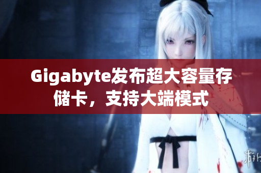 Gigabyte发布超大容量存储卡，支持大端模式