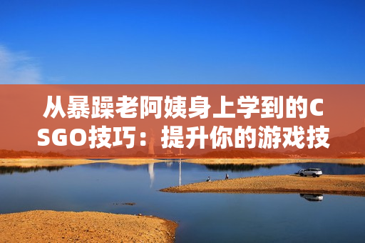 从暴躁老阿姨身上学到的CSGO技巧：提升你的游戏技能