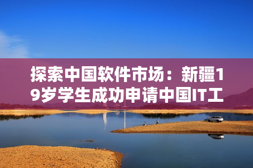探索中国软件市场：新疆19岁学生成功申请中国IT工作