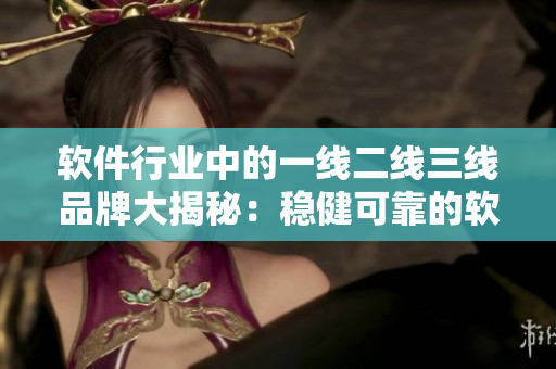 软件行业中的一线二线三线品牌大揭秘：稳健可靠的软件厂商你知道哪些？