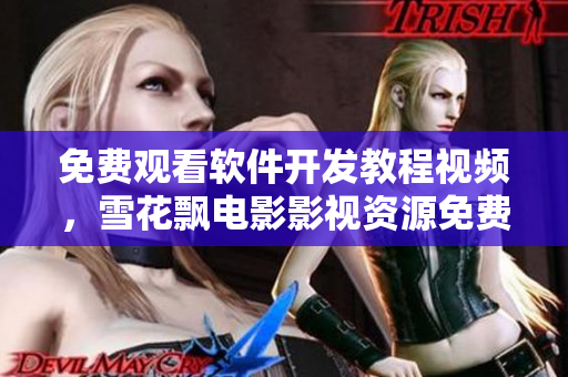 免费观看软件开发教程视频，雪花飘电影影视资源免费在线观看