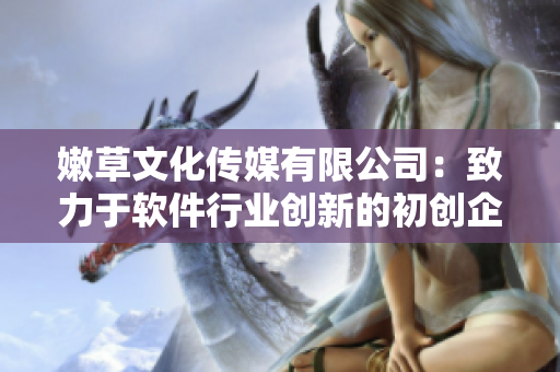 嫩草文化传媒有限公司：致力于软件行业创新的初创企业