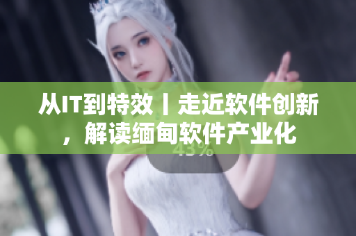 从IT到特效丨走近软件创新，解读缅甸软件产业化