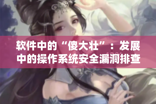 软件中的“傻大壮”：发展中的操作系统安全漏洞排查技术