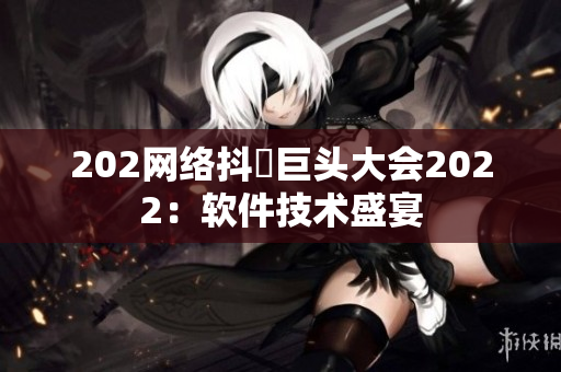 202网络抖抈巨头大会2022：软件技术盛宴