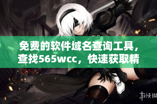 免费的软件域名查询工具，查找565wcc，快速获取精准信息