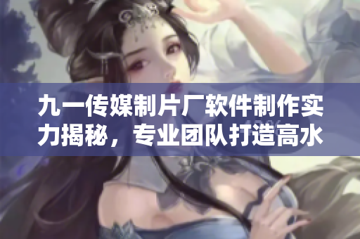 九一传媒制片厂软件制作实力揭秘，专业团队打造高水准网络软件