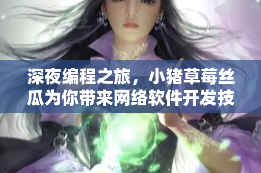 深夜编程之旅，小猪草莓丝瓜为你带来网络软件开发技巧