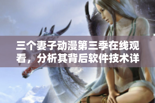 三个妻子动漫第三季在线观看，分析其背后软件技术详解