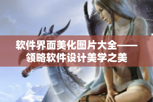 软件界面美化图片大全——领略软件设计美学之美