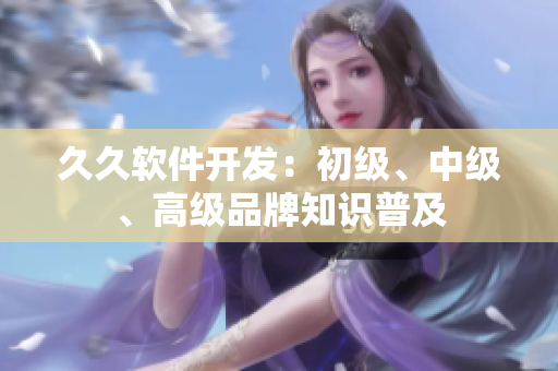 久久软件开发：初级、中级、高级品牌知识普及