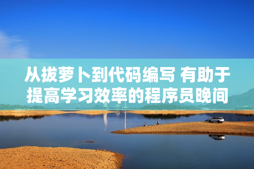 从拔萝卜到代码编写 有助于提高学习效率的程序员晚间娱乐活动