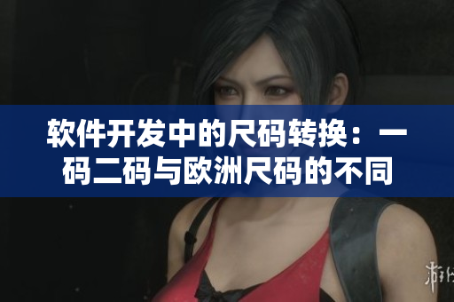 软件开发中的尺码转换：一码二码与欧洲尺码的不同
