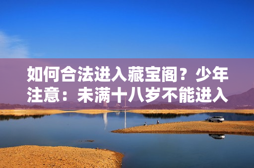 如何合法进入藏宝阁？少年注意：未满十八岁不能进入！