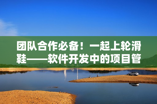 团队合作必备！一起上轮滑鞋——软件开发中的项目管理与协作