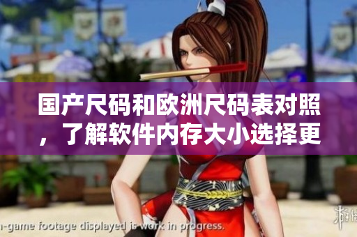 国产尺码和欧洲尺码表对照，了解软件内存大小选择更精准