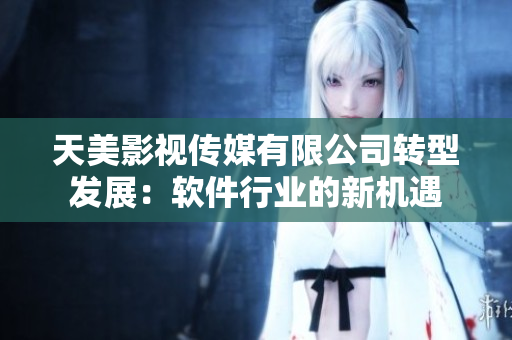 天美影视传媒有限公司转型发展：软件行业的新机遇