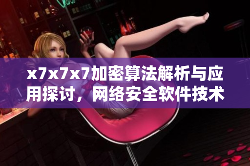 x7x7x7加密算法解析与应用探讨，网络安全软件技术揭秘