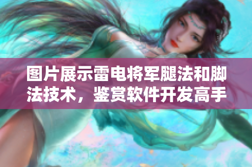 图片展示雷电将军腿法和脚法技术，鉴赏软件开发高手的实战姿势