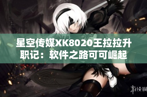 星空传媒XK8020王拉拉升职记：软件之路可可崛起