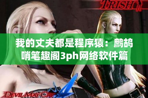 我的丈夫都是程序猿：鹧鸪哨笔趣阁3ph网络软件篇