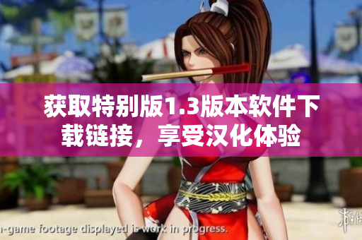 获取特别版1.3版本软件下载链接，享受汉化体验