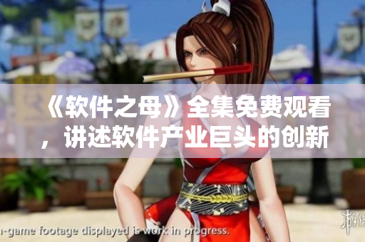 《软件之母》全集免费观看，讲述软件产业巨头的创新和奋斗