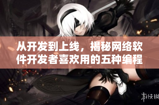 从开发到上线，揭秘网络软件开发者喜欢用的五种编程语言
