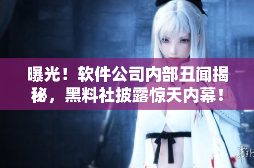 曝光！软件公司内部丑闻揭秘，黑料社披露惊天内幕！