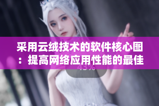 采用云绒技术的软件核心图：提高网络应用性能的最佳方案