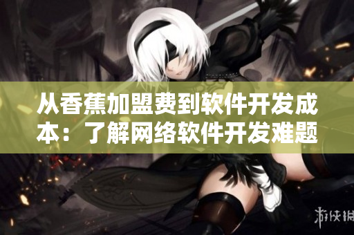 从香蕉加盟费到软件开发成本：了解网络软件开发难题