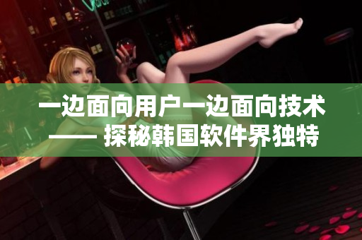 一边面向用户一边面向技术 —— 探秘韩国软件界独特视角
