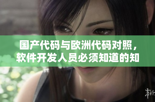 国产代码与欧洲代码对照，软件开发人员必须知道的知识
