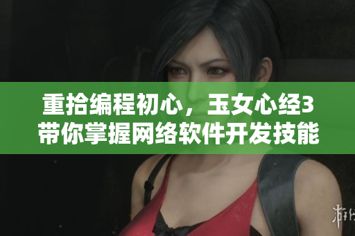 重拾编程初心，玉女心经3带你掌握网络软件开发技能