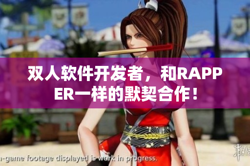 双人软件开发者，和RAPPER一样的默契合作！