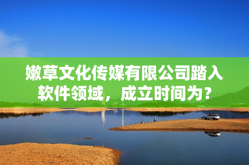嫩草文化传媒有限公司踏入软件领域，成立时间为？
