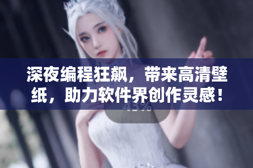 深夜编程狂飙，带来高清壁纸，助力软件界创作灵感！