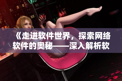 《走进软件世界，探索网络软件的奥秘——深入解析软件设计与开发技巧》