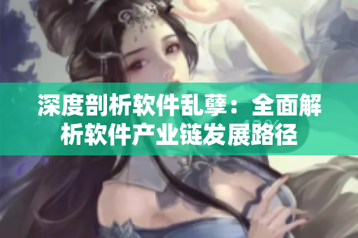 深度剖析软件乱孽：全面解析软件产业链发展路径