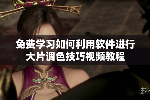免费学习如何利用软件进行大片调色技巧视频教程
