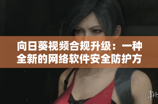 向日葵视频合规升级：一种全新的网络软件安全防护方式