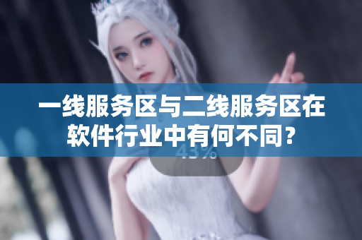 一线服务区与二线服务区在软件行业中有何不同？