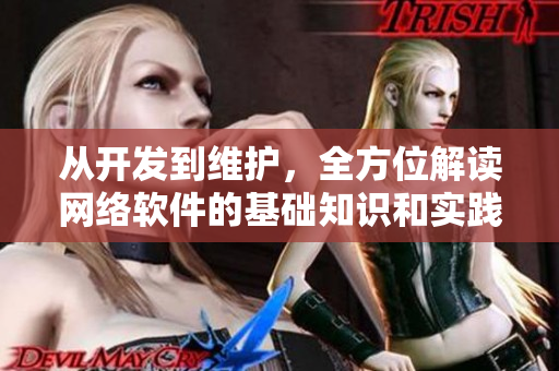 从开发到维护，全方位解读网络软件的基础知识和实践技能