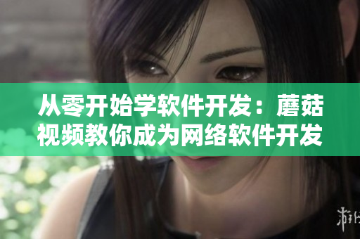 从零开始学软件开发：蘑菇视频教你成为网络软件开发高手！