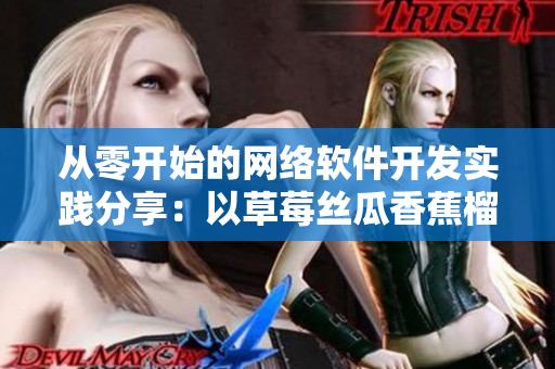从零开始的网络软件开发实践分享：以草莓丝瓜香蕉榴莲为例