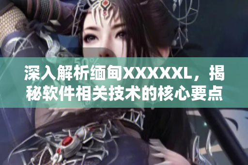 深入解析缅甸XXXXXL，揭秘软件相关技术的核心要点