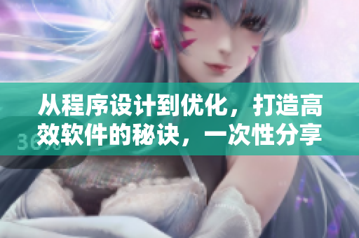 从程序设计到优化，打造高效软件的秘诀，一次性分享