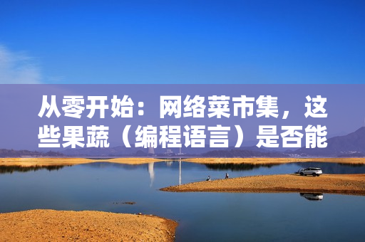 从零开始：网络菜市集，这些果蔬（编程语言）是否能满足你呢？